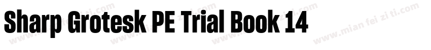 Sharp Grotesk PE Trial Book 14字体转换